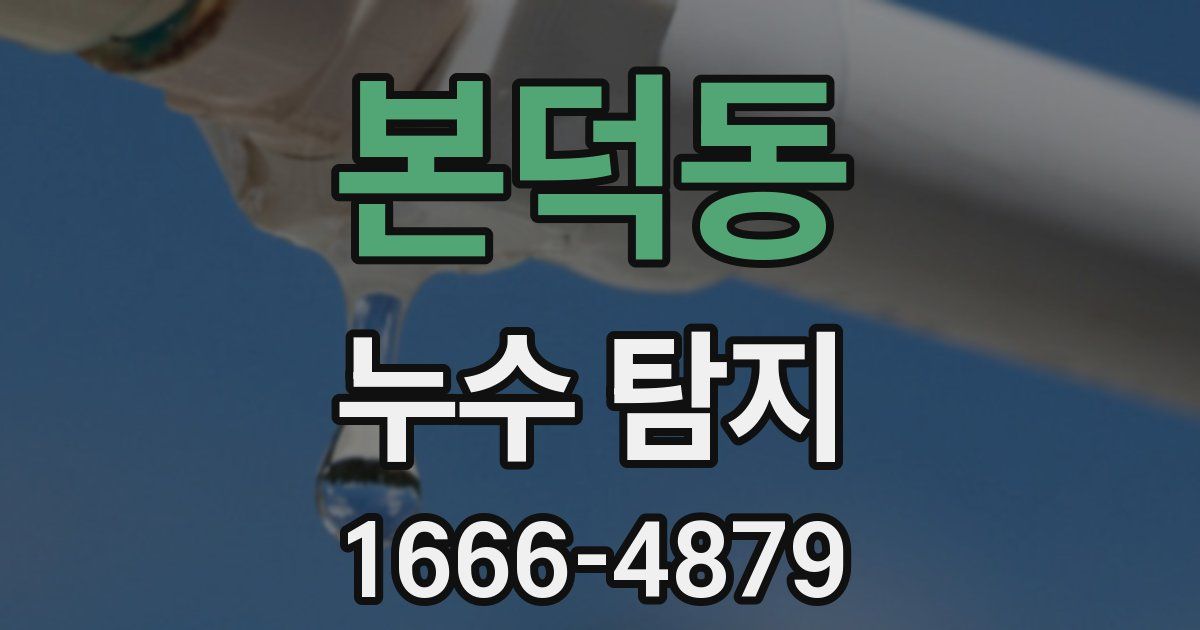본덕동 누수 탐지