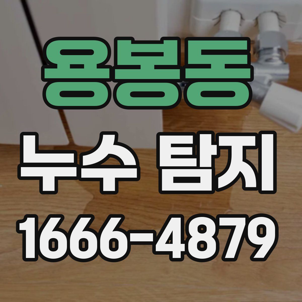 용봉동 누수 탐지