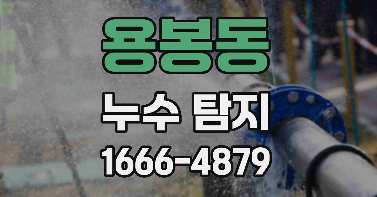 용봉동 누수 탐지