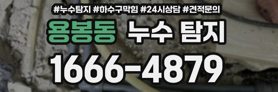 용봉동 누수 탐지