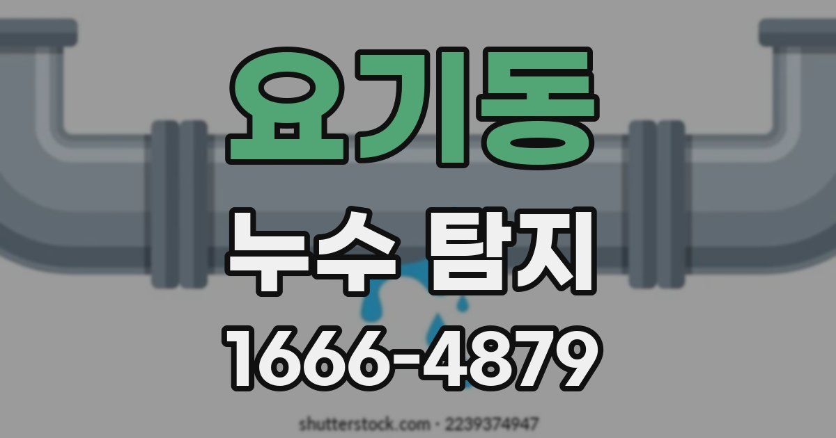 요기동 누수 탐지