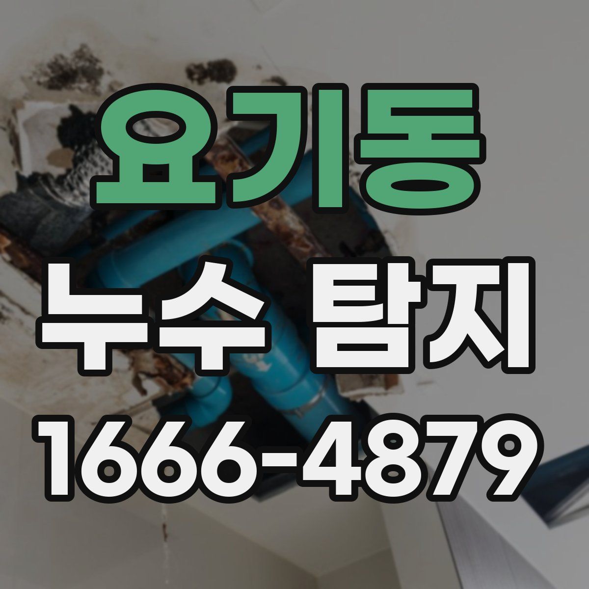 요기동 누수 탐지