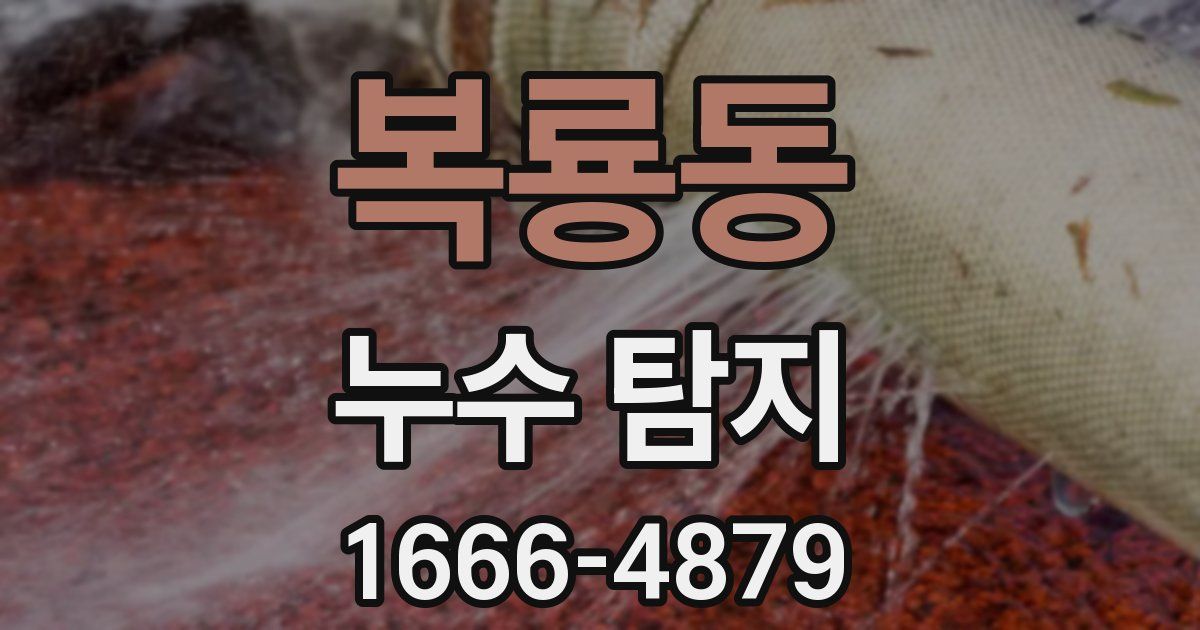 복룡동 누수 탐지