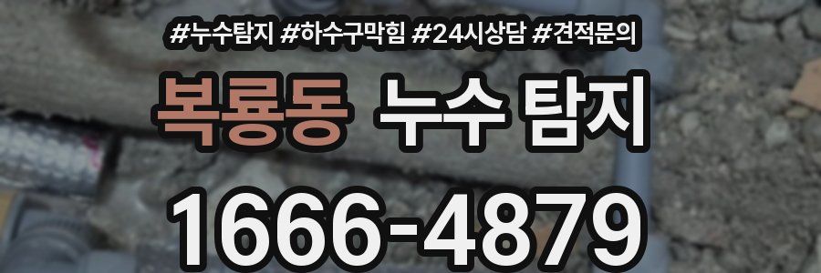 복룡동 누수 탐지