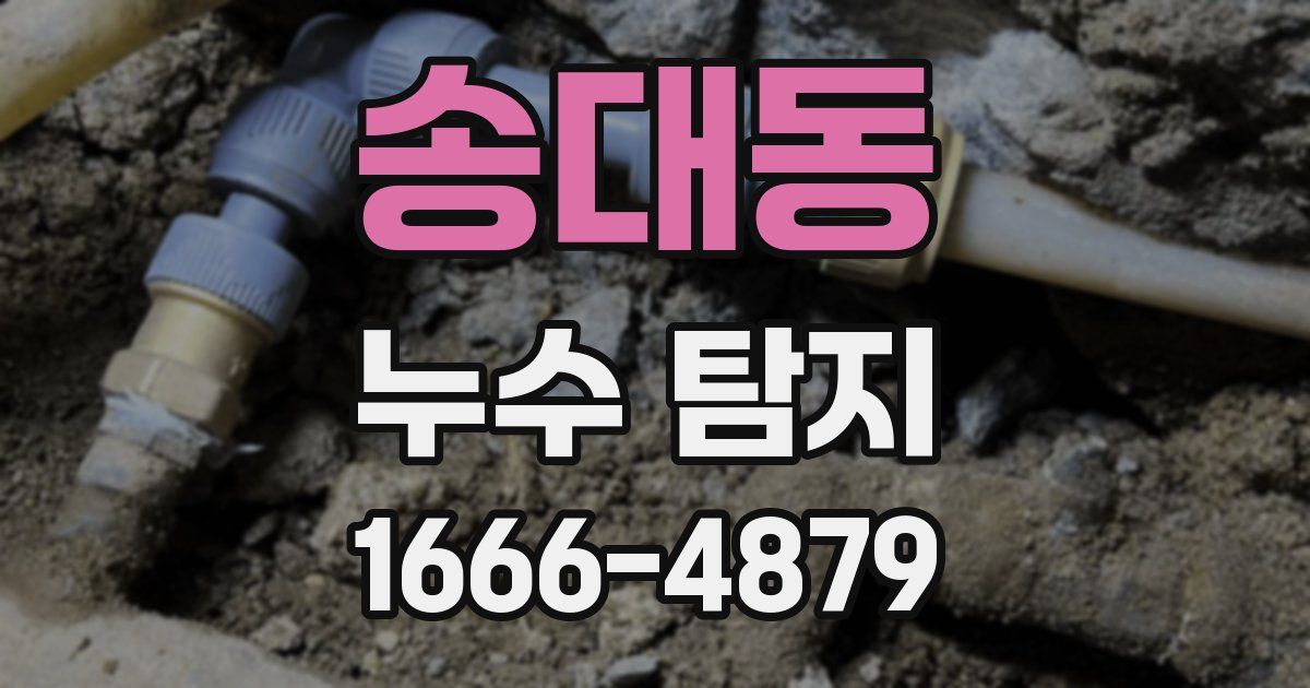 송대동 누수 탐지