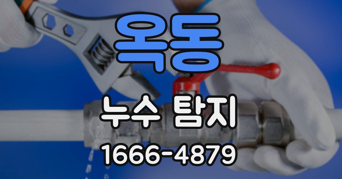 옥동 누수 탐지