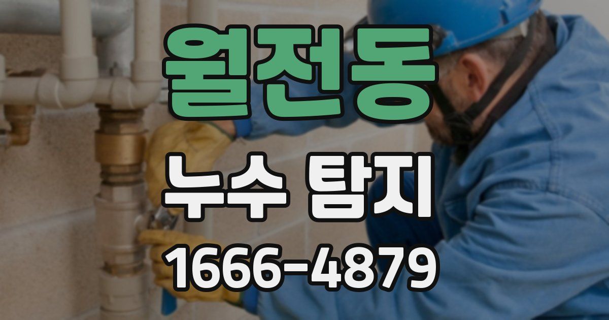 월전동 누수 탐지