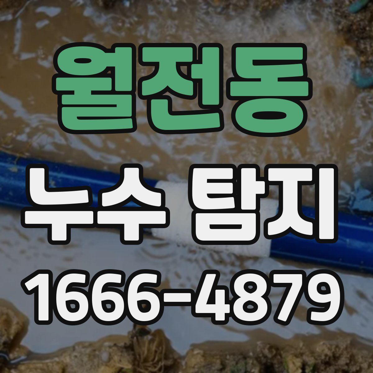 월전동 누수 탐지