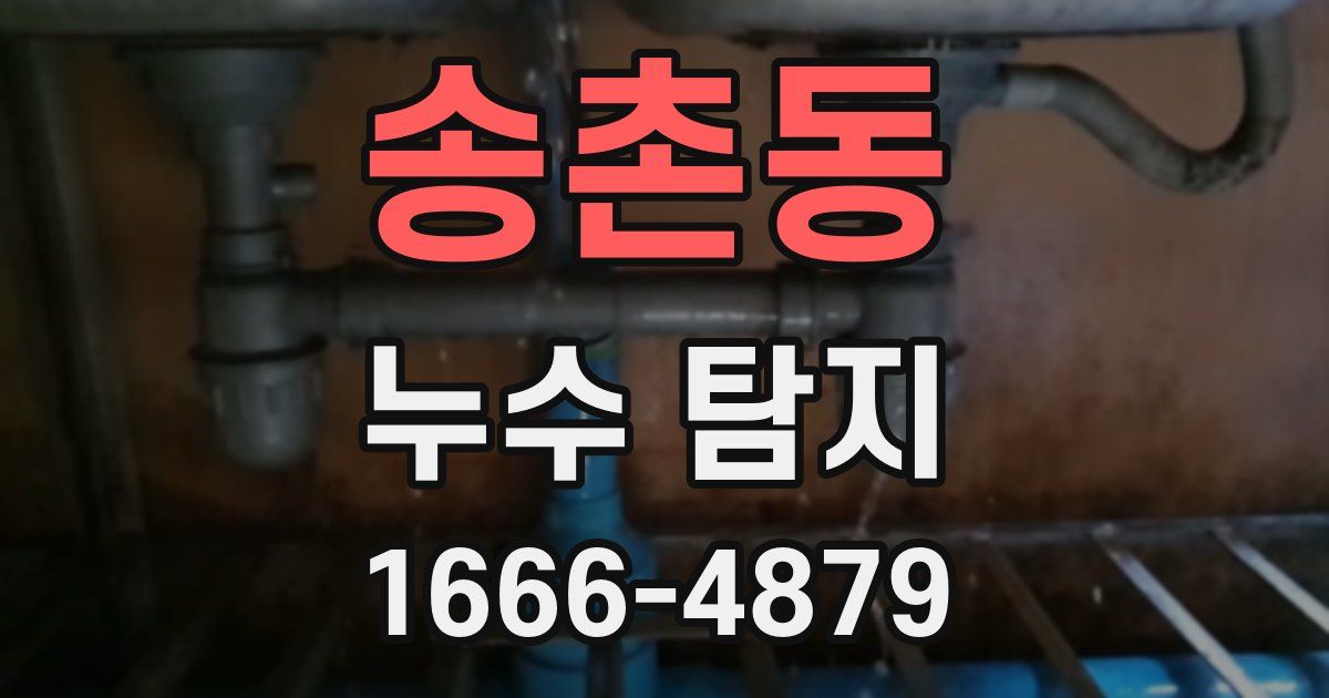송촌동 누수 탐지
