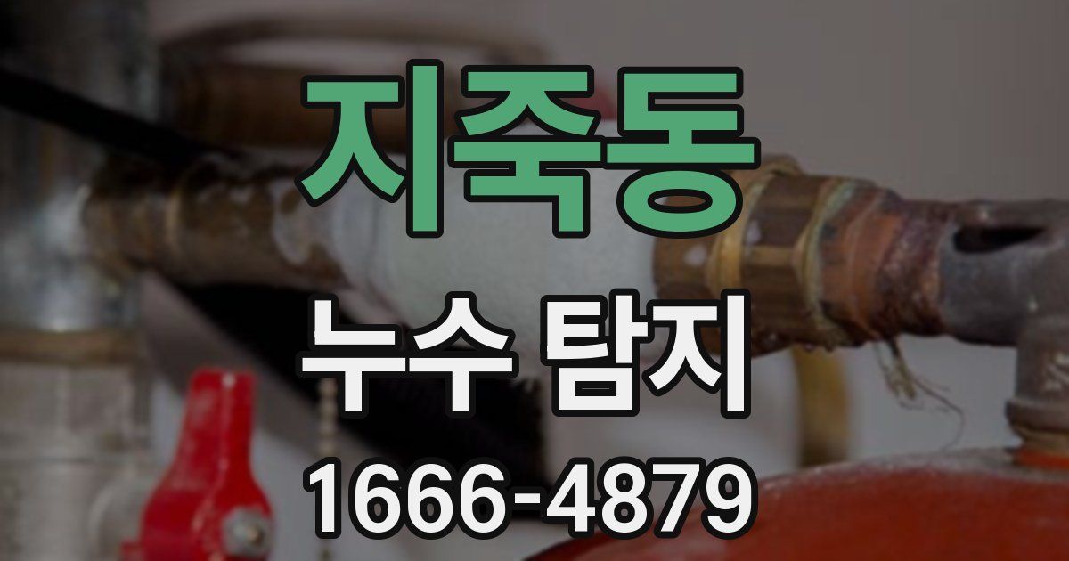 지죽동 누수 탐지