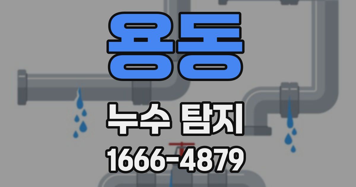 용동 누수 탐지