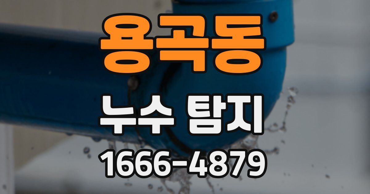 용곡동 누수 탐지