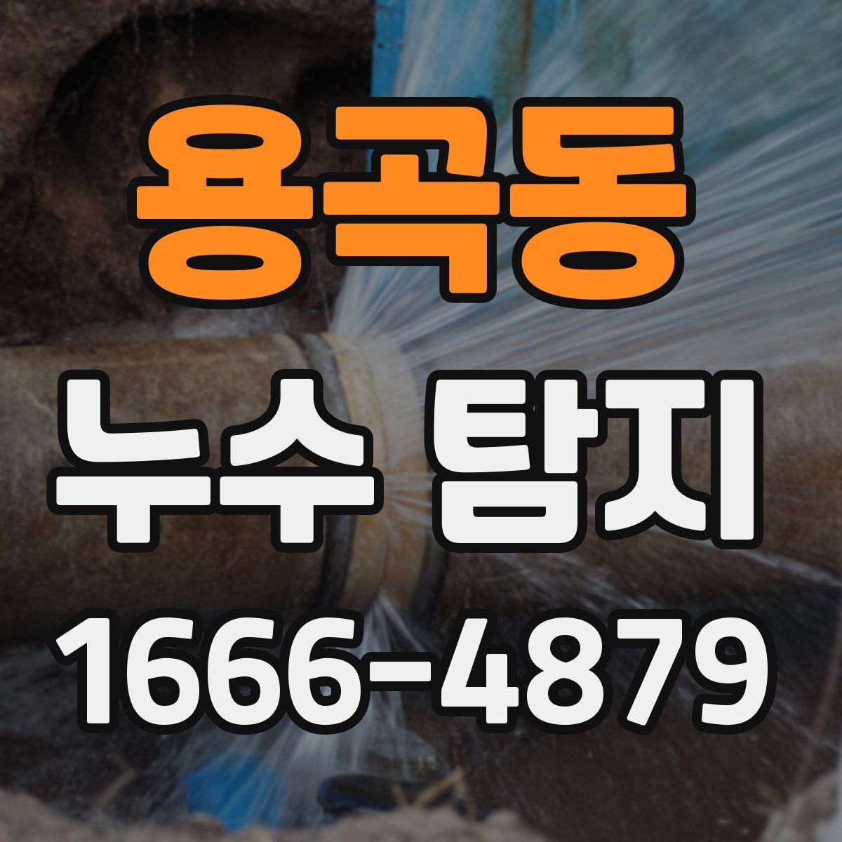 용곡동 누수 탐지