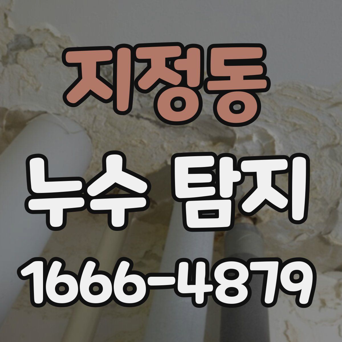 지정동 누수 탐지