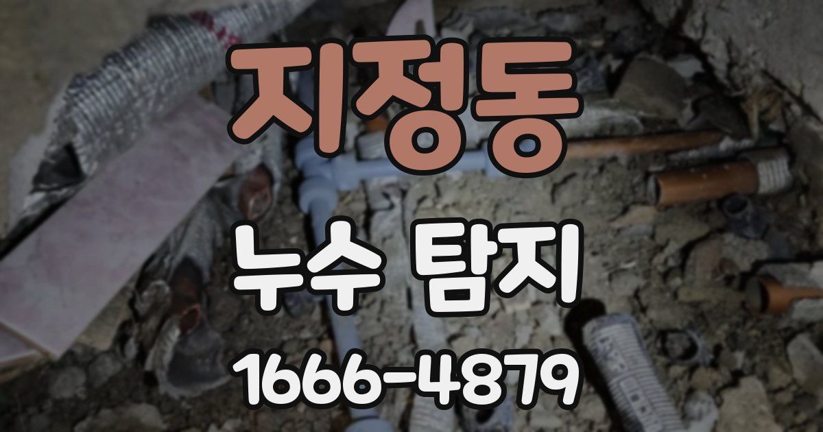 지정동 누수 탐지
