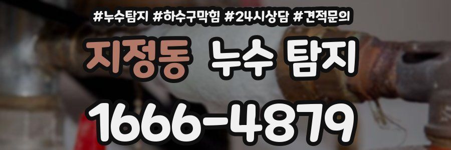 지정동 누수 탐지