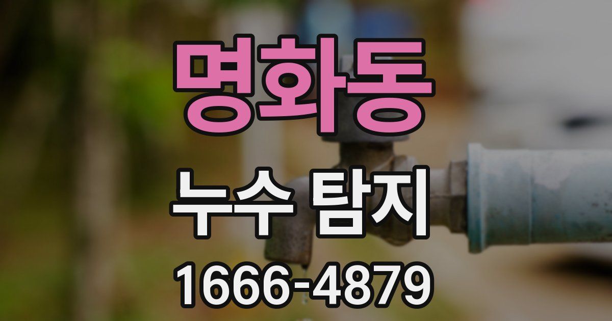 명화동 누수 탐지