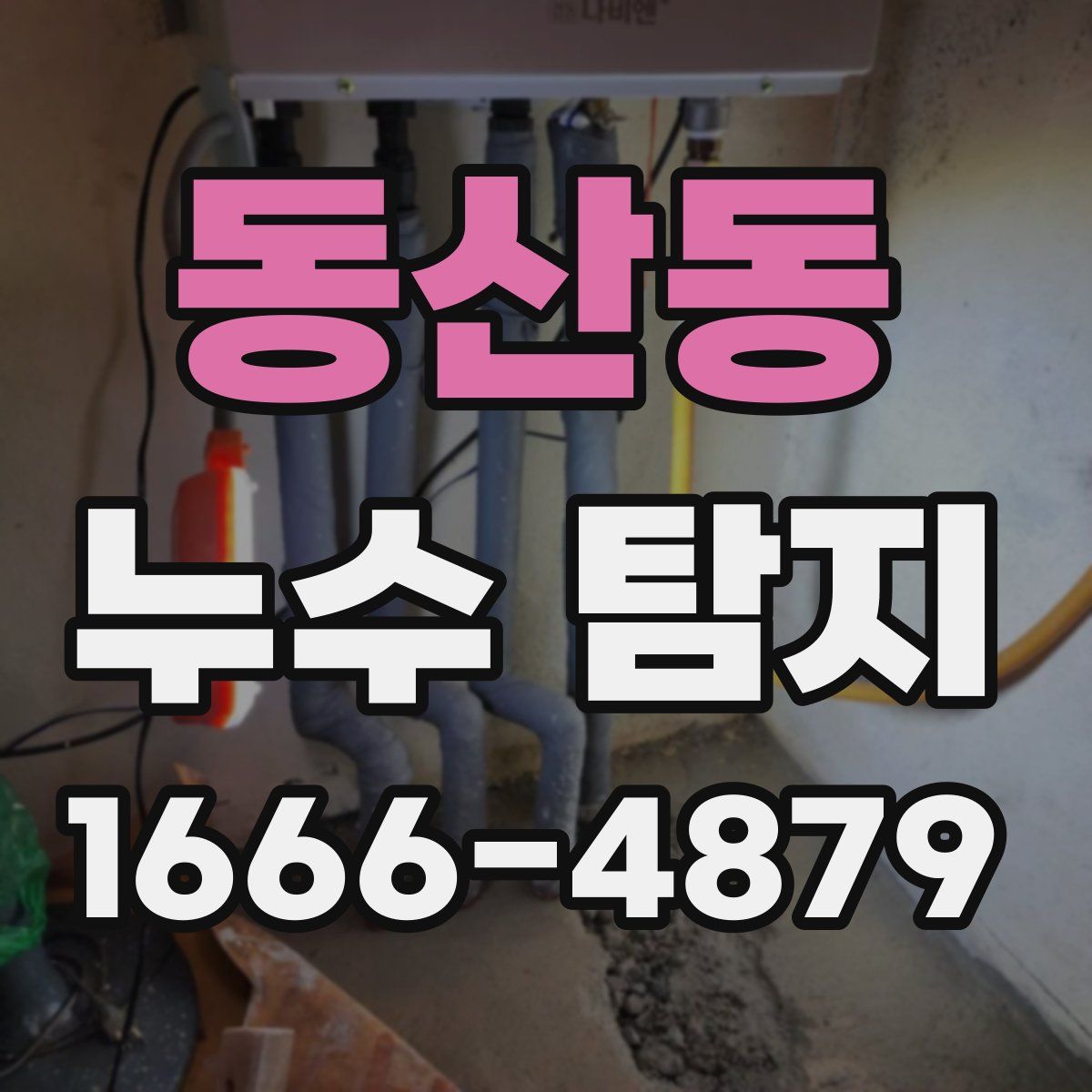동산동 누수 탐지