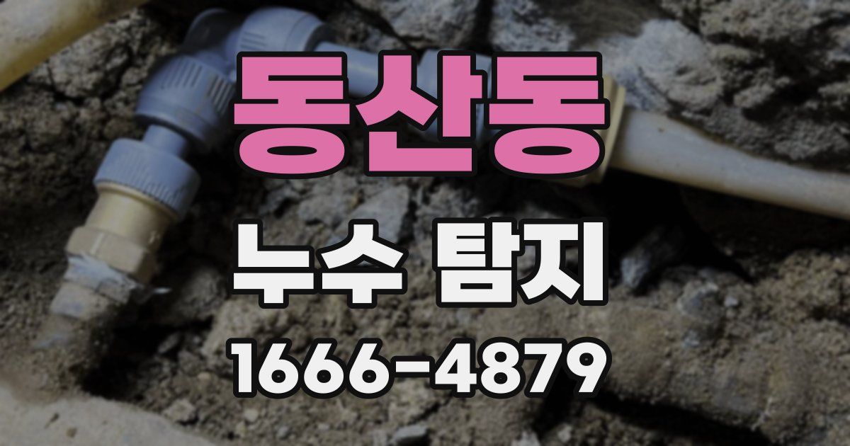 동산동 누수 탐지