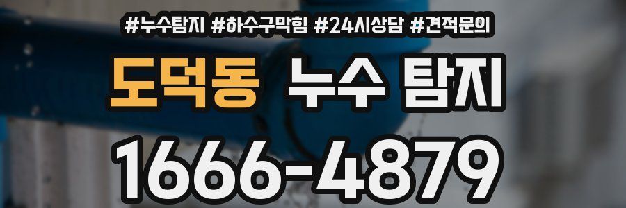 도덕동 누수 탐지