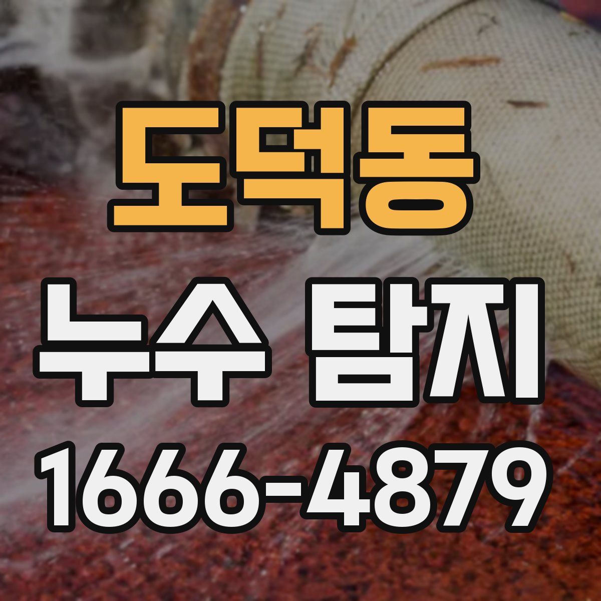 도덕동 누수 탐지