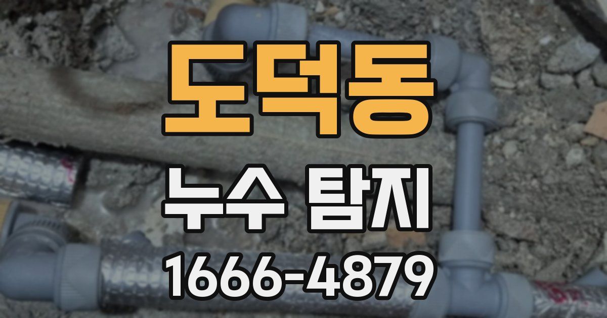 도덕동 누수 탐지