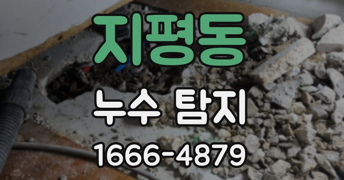 지평동 누수 탐지