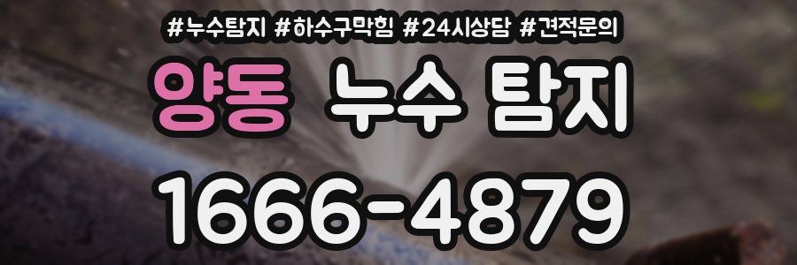 양동 누수 탐지
