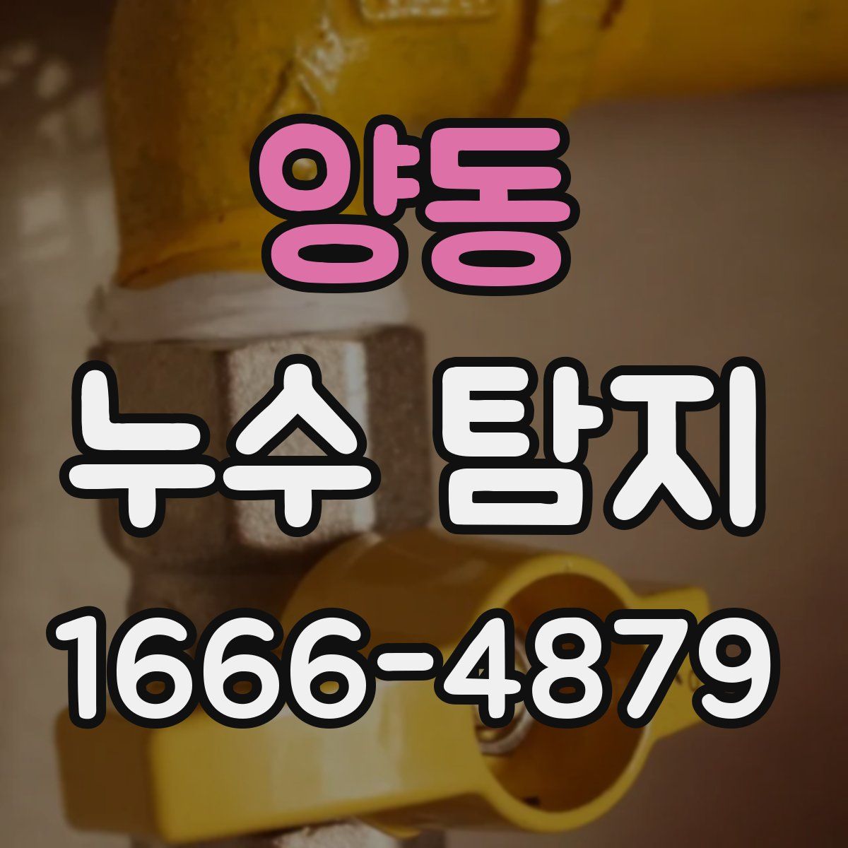 양동 누수 탐지