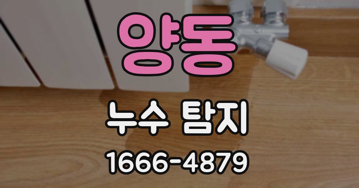 양동 누수 탐지