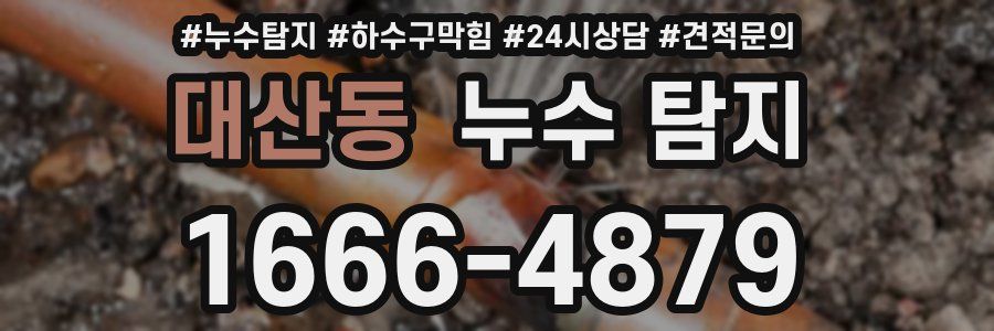 대산동 누수 탐지
