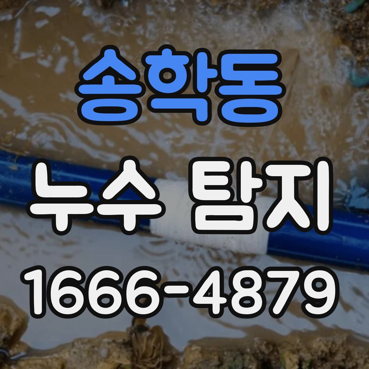 송학동 누수 탐지