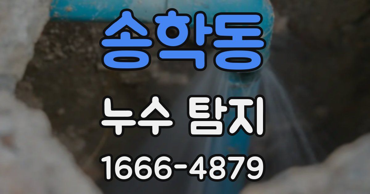 송학동 누수 탐지