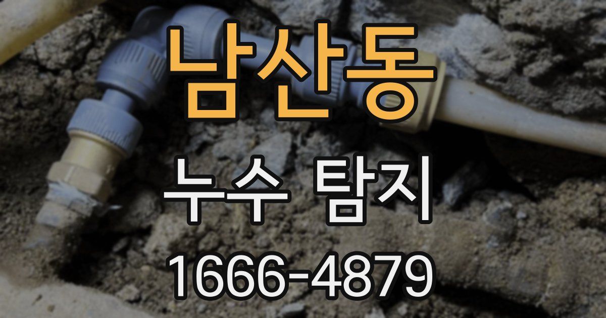 남산동 누수 탐지