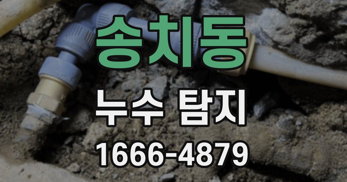 송치동 누수 탐지