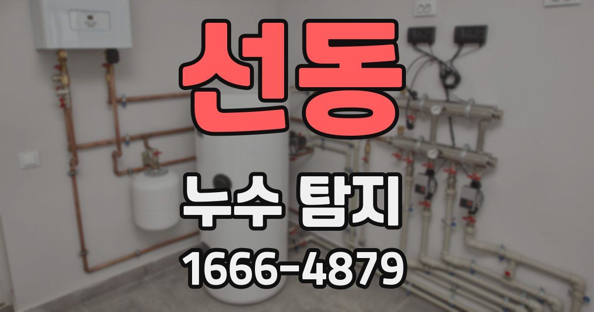 선동 누수 탐지
