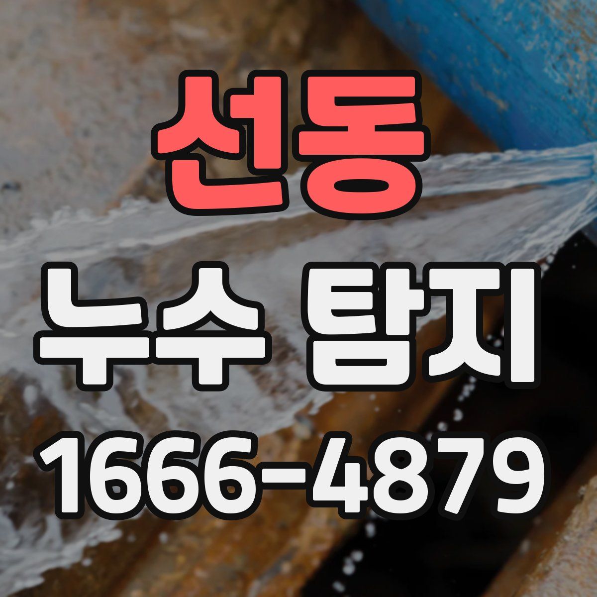 선동 누수 탐지