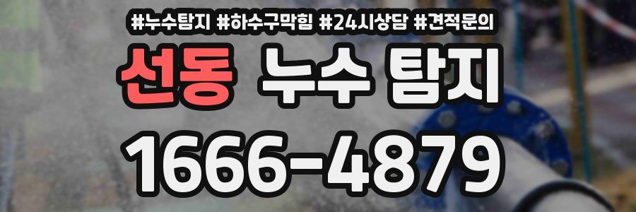 선동 누수 탐지