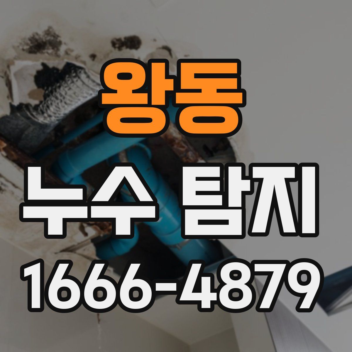 왕동 누수 탐지