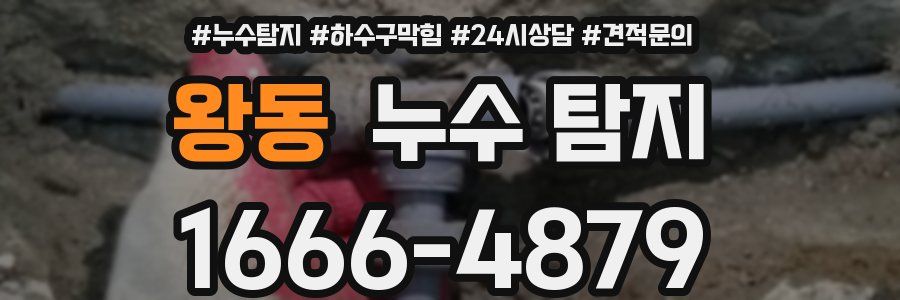왕동 누수 탐지