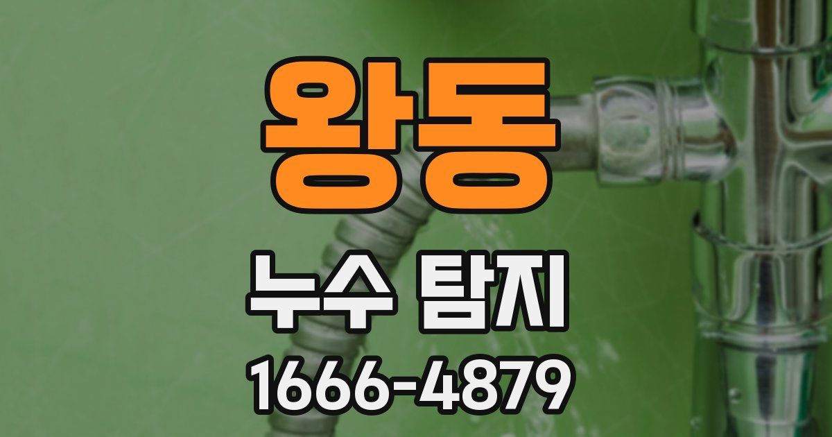 왕동 누수 탐지