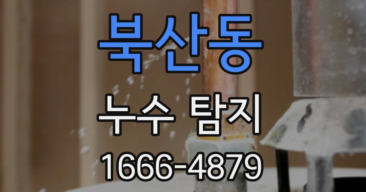 북산동 누수 탐지
