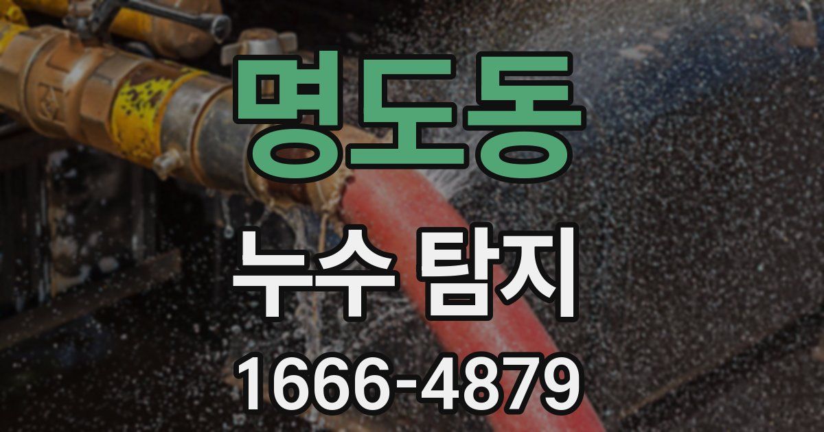 명도동 누수 탐지