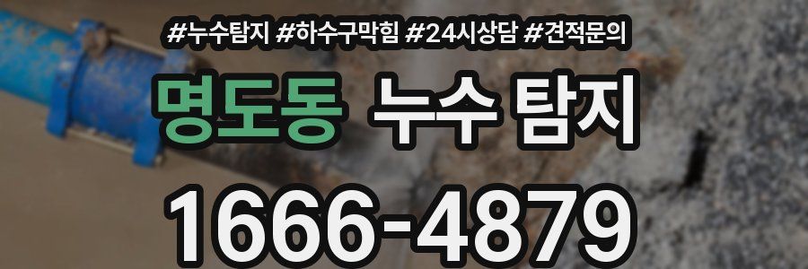 명도동 누수 탐지