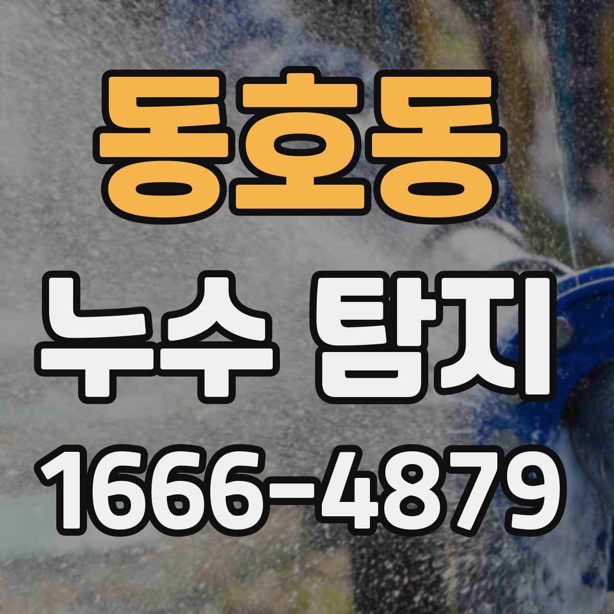 동호동 누수 탐지