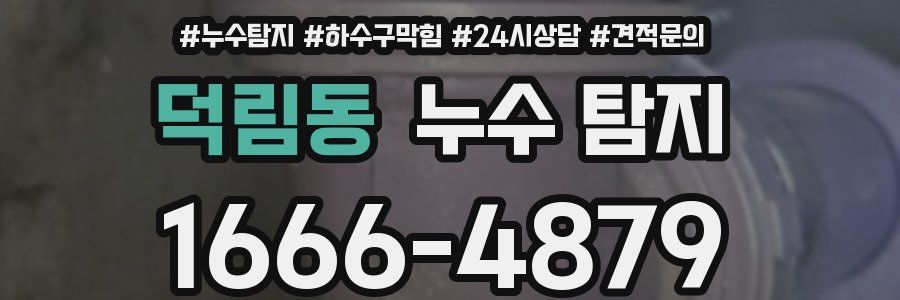 덕림동 누수 탐지