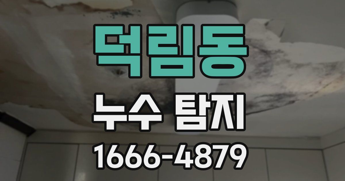 덕림동 누수 탐지