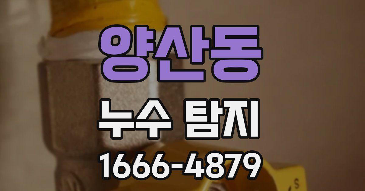 양산동 누수 탐지