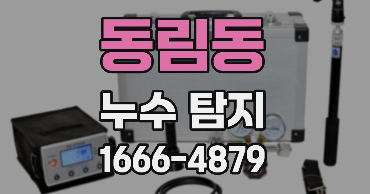 동림동 누수 탐지