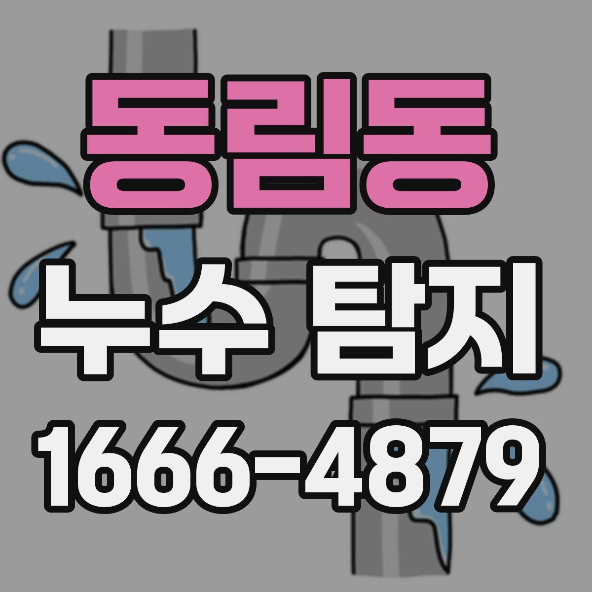 동림동 누수 탐지